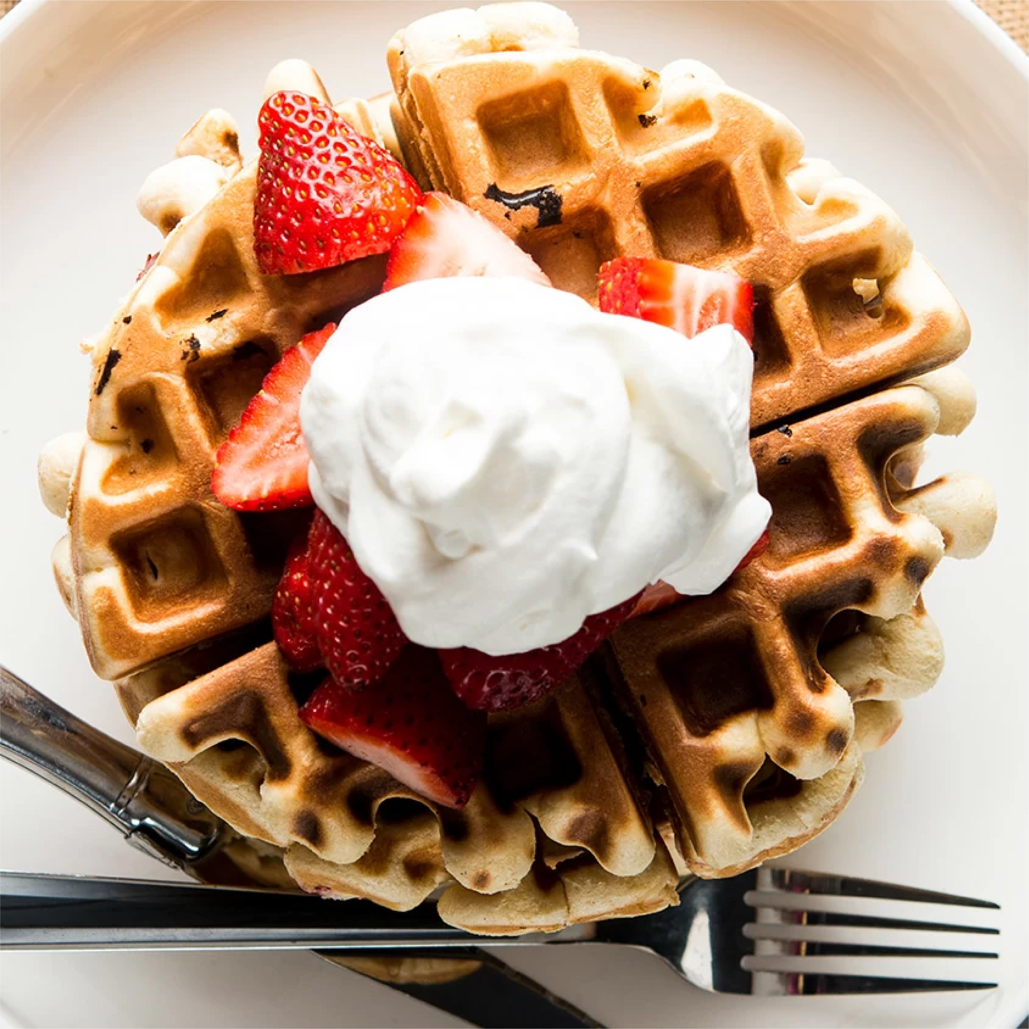 BiPro Protein Waffles